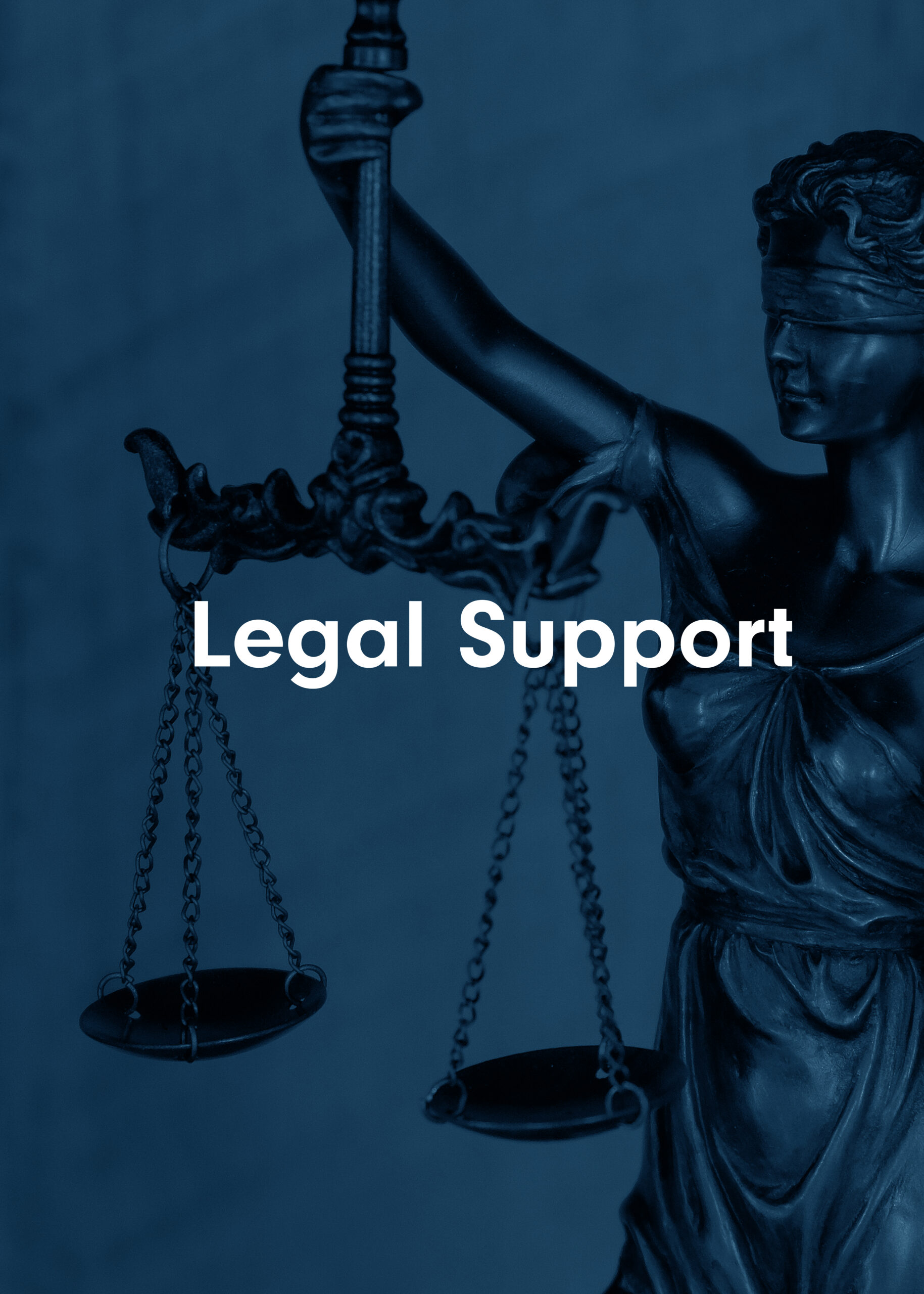 Legal Support - European Centre for Press and Media Freedom